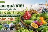 [eMagazine] Rau quả Việt đứng trước yêu cầu tái cấu trúc để chinh phục thị trường toàn cầu