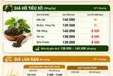 [Infographic] Giá nông sản hôm nay ngày 17/6: Cà phê, hồ tiêu đồng loạt hạ nhiệt, thị trường lúa gạo miền Tây giữ nhịp ổn định