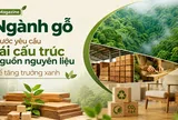 [eMagazine] Ngành gỗ trước yêu cầu tái cấu trúc nguồn nguyên liệu để tăng trưởng xanh