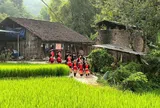 UNESCO gợi mở mô hình phát triển nông thôn gắn với bản sắc riêng của Hà Nội