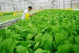 EU nâng tiêu chuẩn kiểm soát nông sản hữu cơ, hướng tới thị trường minh bạch