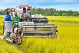 Hàng loạt thủ tục trong lĩnh vực nông nghiệp, môi trường được đề xuất cắt giảm