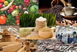 Tín dụng ngân hàng tạo lực đẩy cho xuất khẩu nông, lâm, thủy sản