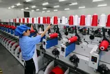 Chuỗi sự kiện “Kết nối chuỗi cung ứng hàng hóa quốc tế” sẽ diễn ra vào trung tuần tháng 9