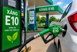 Sẵn sàng các điều kiện đưa xăng sinh học E10 ra thị trường từ 1/6