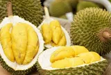 Giá sầu riêng hôm nay 13/6/2026: Thị trường ổn định với tín hiệu hồi phục