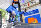 Giá xăng dầu hôm nay 13/6/2026: Cập nhật giá xăng dầu trong nước, quốc tế