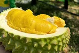 Giá sầu riêng hôm nay 17/6/2026: Thị trường ổn định với biến động trái chiều