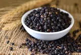 Giá tiêu hôm nay 20/6/2026: Cập nhật giá tiêu trong nước, quốc tế
