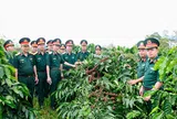Tỏa sáng phẩm chất Bộ đội Cụ Hồ nơi vùng dự án