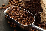 Giá cà phê hôm nay 2/7/2026: Tăng mạnh, Robusta và Arabica cùng bứt phá