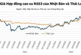 Giá cao su hôm nay 15/7/2026: Thị trường thế giới ghi nhận chiều hướng tích cực