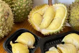 Giá sầu riêng hôm nay 15/7/2026: Sầu riêng Thái miền Tây giá nhích nhẹ