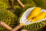 Giá sầu riêng hôm nay 19/7/2026: Sầu riêng Thái lên mức 80.000 đồng/kg