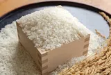 Giá lúa gạo hôm nay 22/7/2026: Giá gạo nguyên liệu tiếp đà tăng