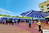 Trường Đại học Nam Cần Thơ tổ chức Ngày hội Việc làm 2026, kết nối sinh viên với doanh nghiệp