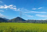 Chuyển hướng xanh trong nông nghiệp: Yêu cầu cấp thiết để nâng cao sức cạnh tranh