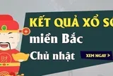XSMB 2/8 Kết quả xổ số Miền Bắc hôm nay 2/8/2026 XSMB Chủ Nhật