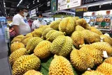 Giá sầu riêng hôm nay 3/8/2026: Sầu Thái bật tăng, hàng đẹp tại Đắk Lắk lên tới 85.000 đồng/kg
