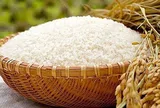 Giá lúa gạo hôm nay 18/8/2026: Giá gạo nguyên liệu quay đầu giảm