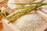 Giá lúa gạo hôm nay 24/9: Gạo nguyên liệu tăng, lúa tươi ít biến động