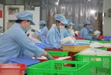 Doanh nghiệp Việt Nam phải quyết liệt đổi mới tư duy, chiến lược thích ứng lộ trình xanh hóa nền kinh tế