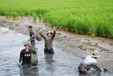 Cà Mau: Tập trung phát triển các sản phẩm nông nghiệp sạch, an toàn