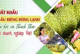 Xuất khẩu sầu riêng đông lạnh: Cơ hội và thách thức với doanh nghiệp Việt