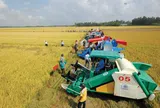 Quảng Ninh: Đẩy mạnh cơ giới hóa trong sản xuất nông nghiệp