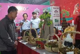 Người tiêu dùng ngày càng chuộng sâm củ tươi có chỉ dẫn địa lý Kon Tum