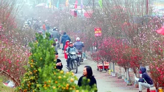 [Video] Đầu năm mới 2026, không khí lạnh có thể quay lại miền Bắc