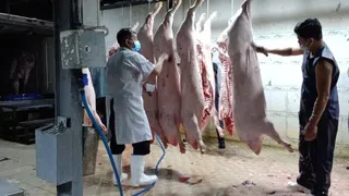 [Video] Kiểm soát giết mổ còn bất cập, an toàn thực phẩm tiếp tục là vấn đề đáng lo