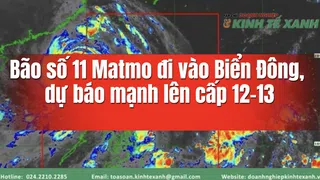 Bão số 11 Matmo đi vào Biển Đông, dự báo mạnh lên cấp 12–13