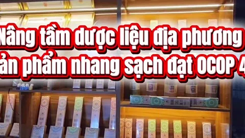 [Video] Nâng tầm dược liệu địa phương với sản phẩm nhang sạch đạt OCOP 4 sao