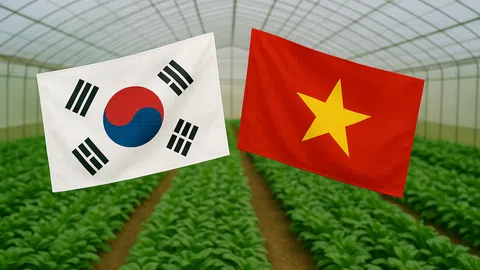 Kết nối trực tiếp B2B doanh nghiệp Việt Nam - Hàn Quốc để phát triển nông nghiệp thông minh