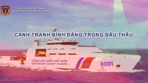 Cạnh tranh bình đẳng trong đấu thầu