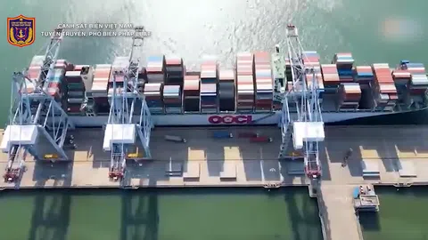 Khai sai một dòng, trả giá cả doanh nghiệp