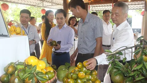 Ngành nông nghiệp tăng trưởng tích cực trong hai tháng đầu năm 2025