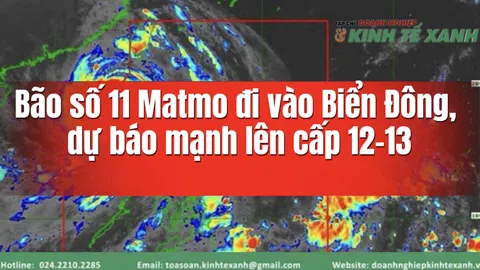 Bão số 11 Matmo đi vào Biển Đông, dự báo mạnh lên cấp 12–13
