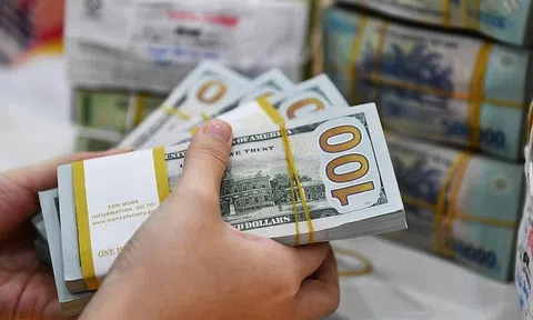 Tỷ giá USD hôm nay 26/12/2025: Cập nhật mới nhất thị trường thế giới và trong nước