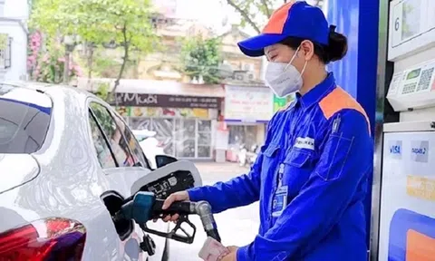 Giá xăng dầu hôm nay 10/2/2026: Cập nhật giá xăng dầu trong nước, quốc tế