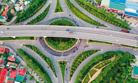 Năm Ngọ và "đường đua mới" của thời đại số