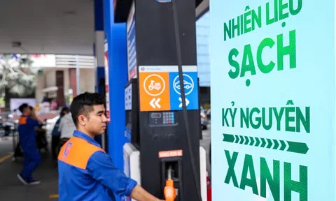 Giá xăng dầu hôm nay 12/2/2026: Cập nhật giá xăng dầu trong nước, quốc tế