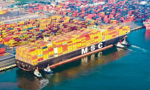 “Hải trình” vươn tới tương lai từ xanh hóa cảng biển