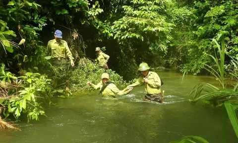 Tết của những người giữ rừng