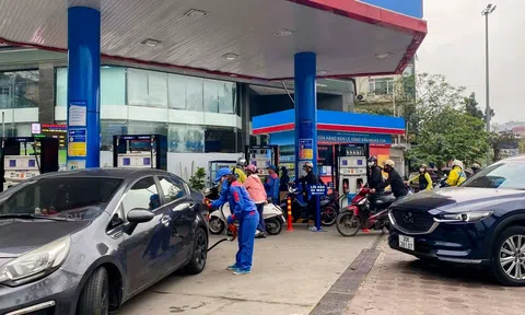 Giá xăng dầu hôm nay 10/3/2026: Dầu thô lao dốc mạnh, thị trường hạ nhiệt