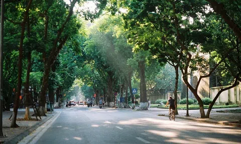 Dự báo thời tiết hôm nay 19/3:  Bắc Bộ ngày nắng, sáng sớm có sương mù