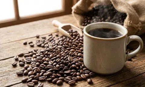 Giá cà phê hôm nay 19/3/2026: Giá cà phê tiếp tục tăng, trong nước dao động từ 91.800 - 93.100 đồng/kg