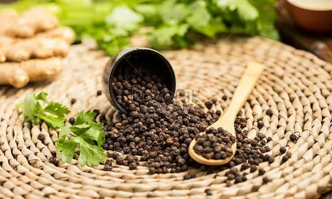 Giá tiêu hôm nay 30/3/2026: Diễn biến trái chiều, thị trường tích lũy