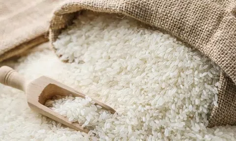 Giá lúa gạo hôm nay 3/4: Giá lúa tươi có xu hướng tăng